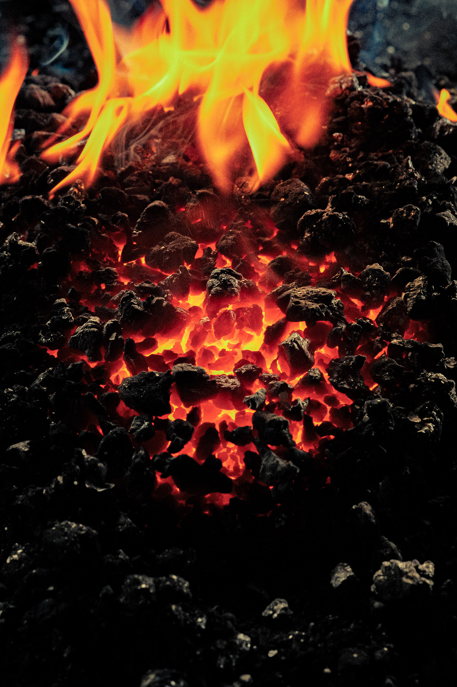 Fabrice Vallat – 38/38