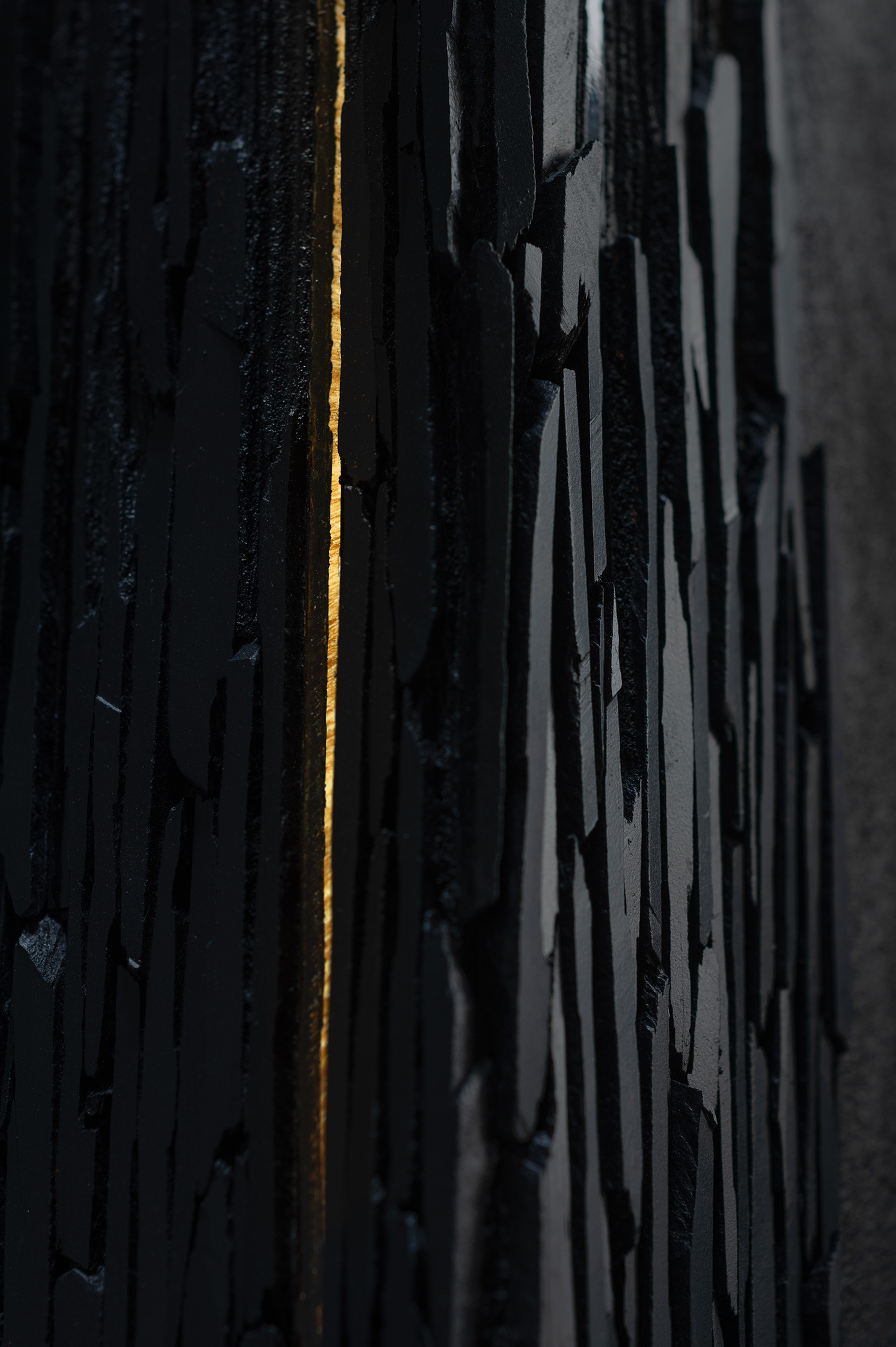 Rozenn Alaptetite – 3/3