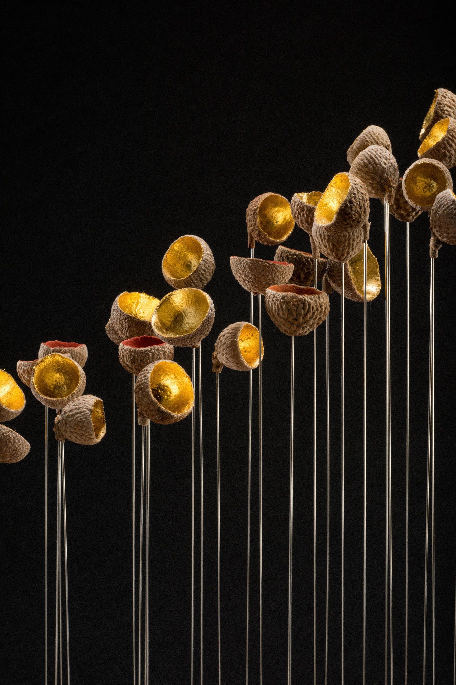 Sophie Blanc – 3/14