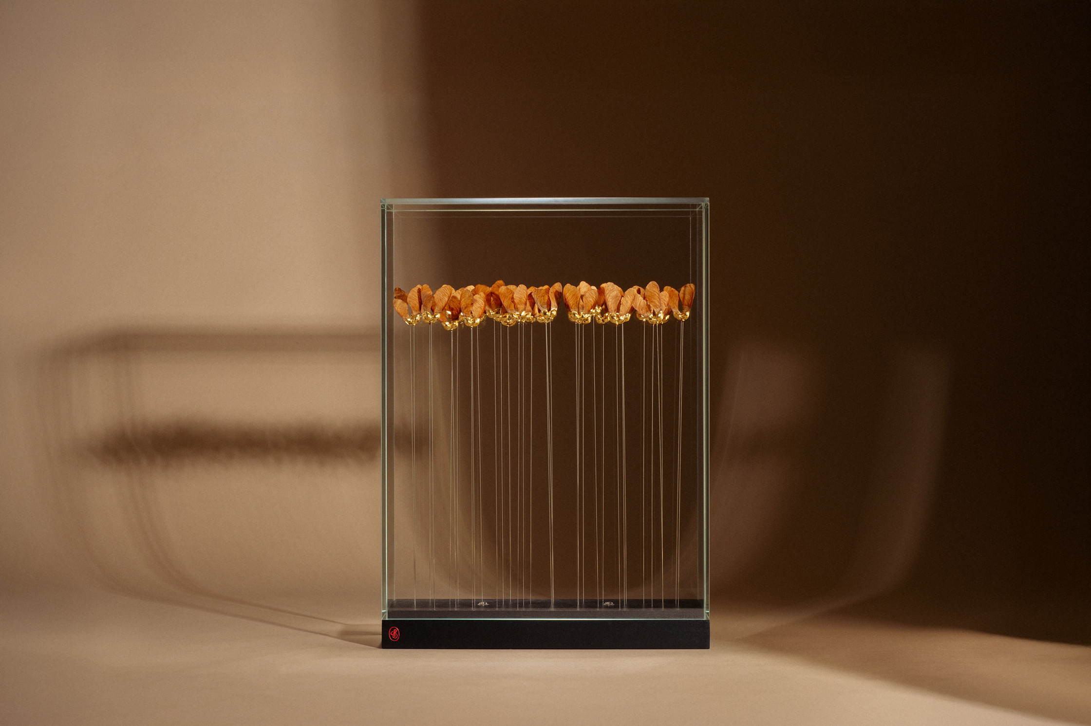 Sophie Blanc – 4/14