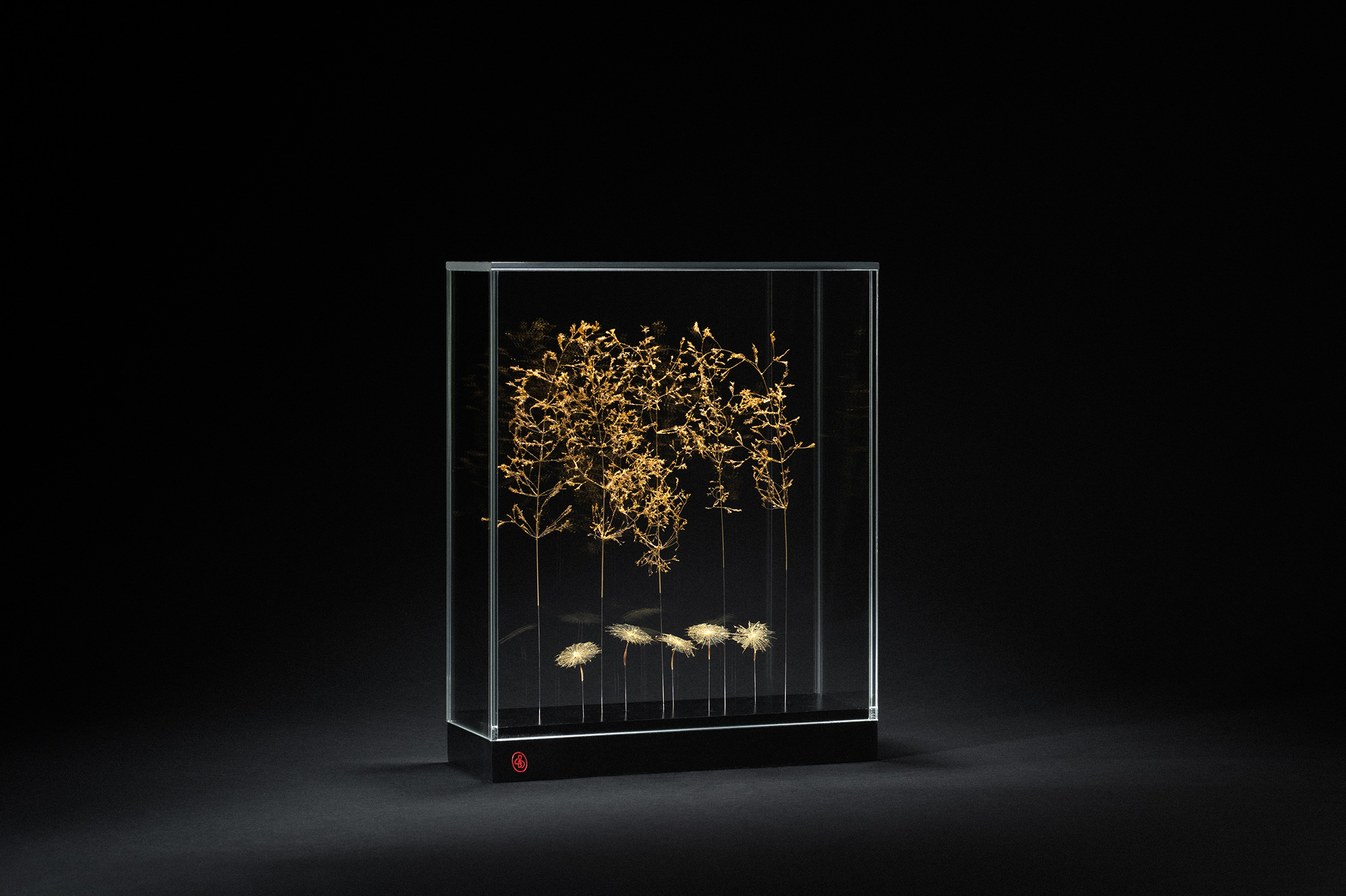 Sophie Blanc – 5/14