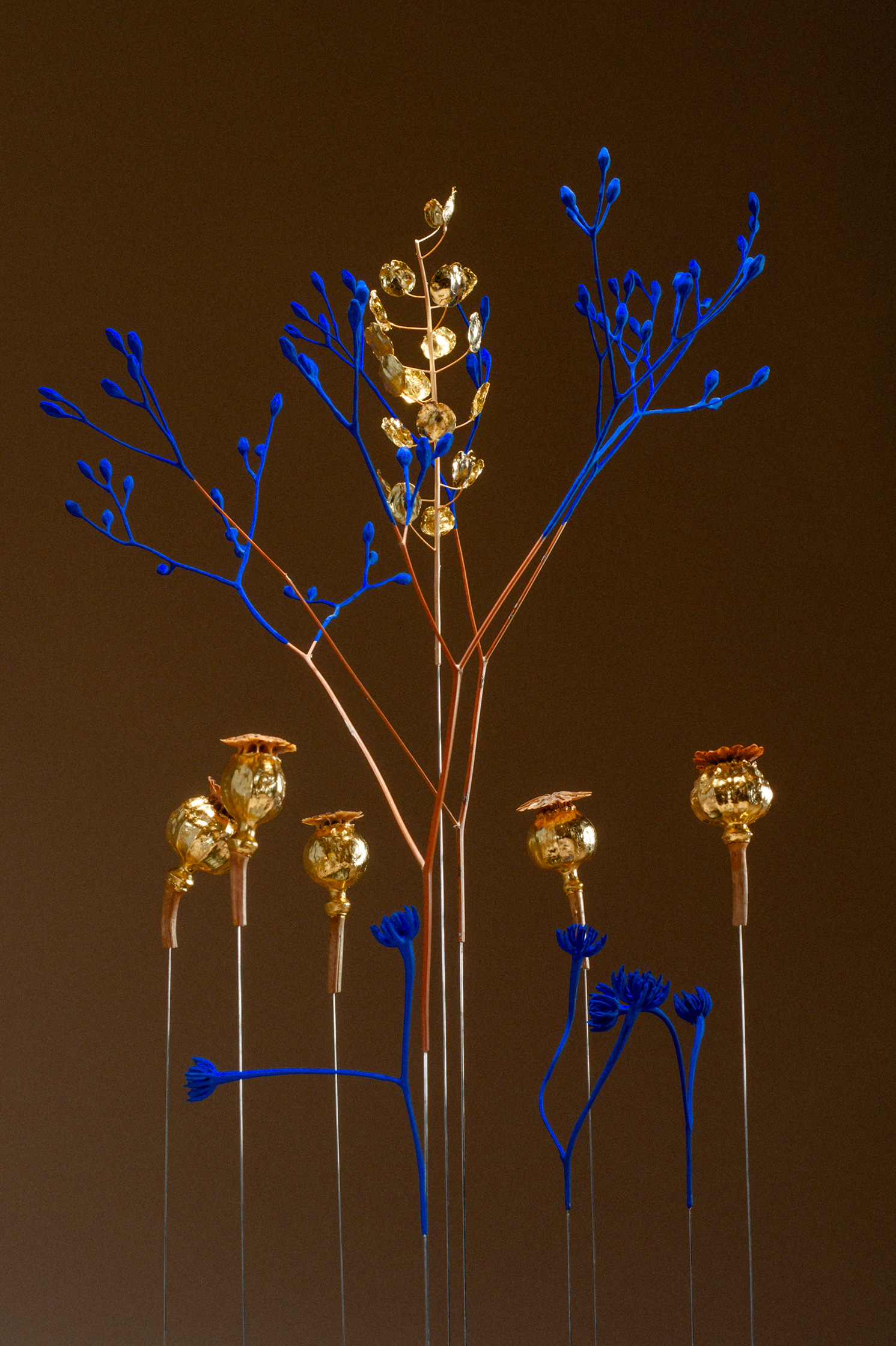 Sophie Blanc – 6/14