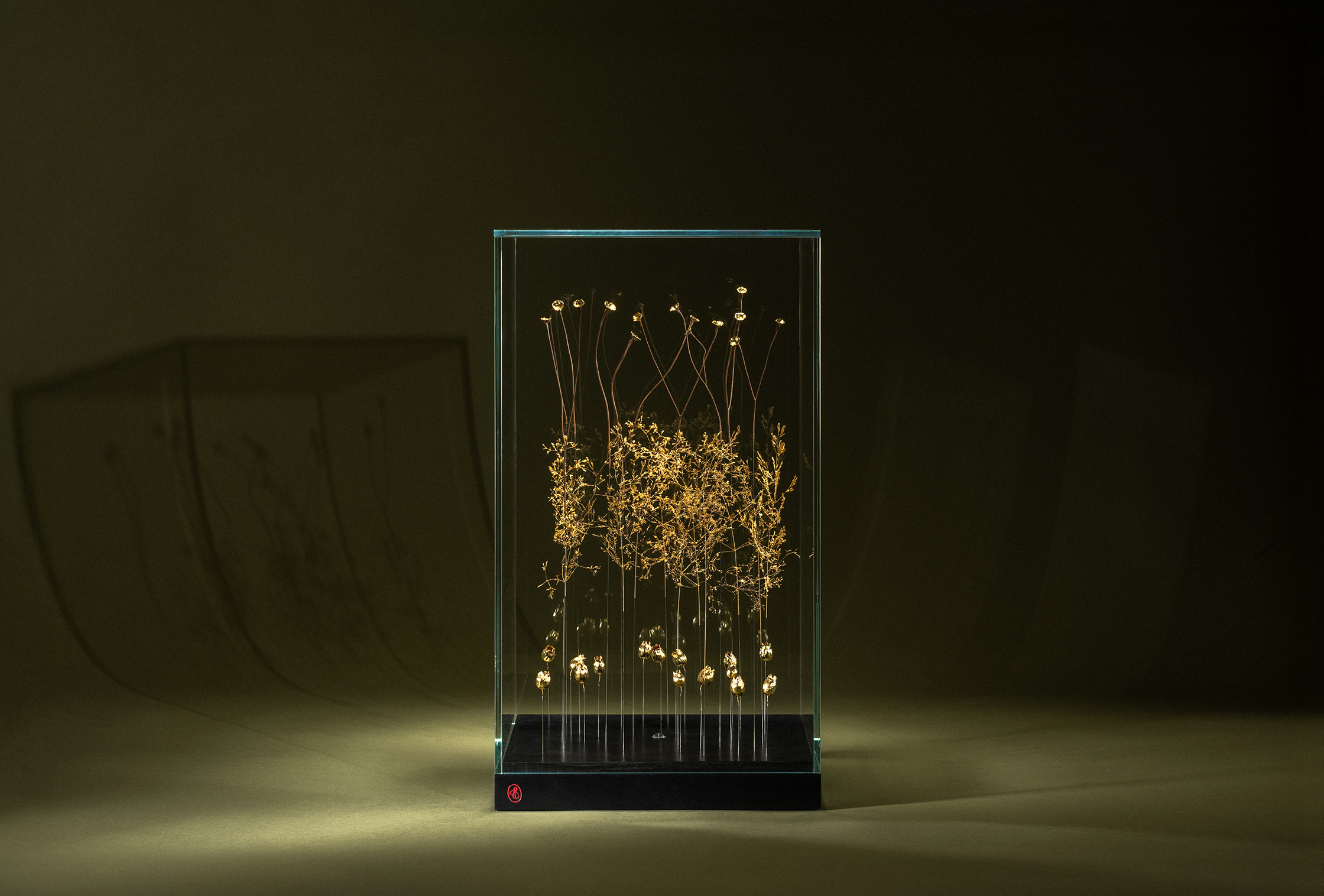 Sophie Blanc – 8/14