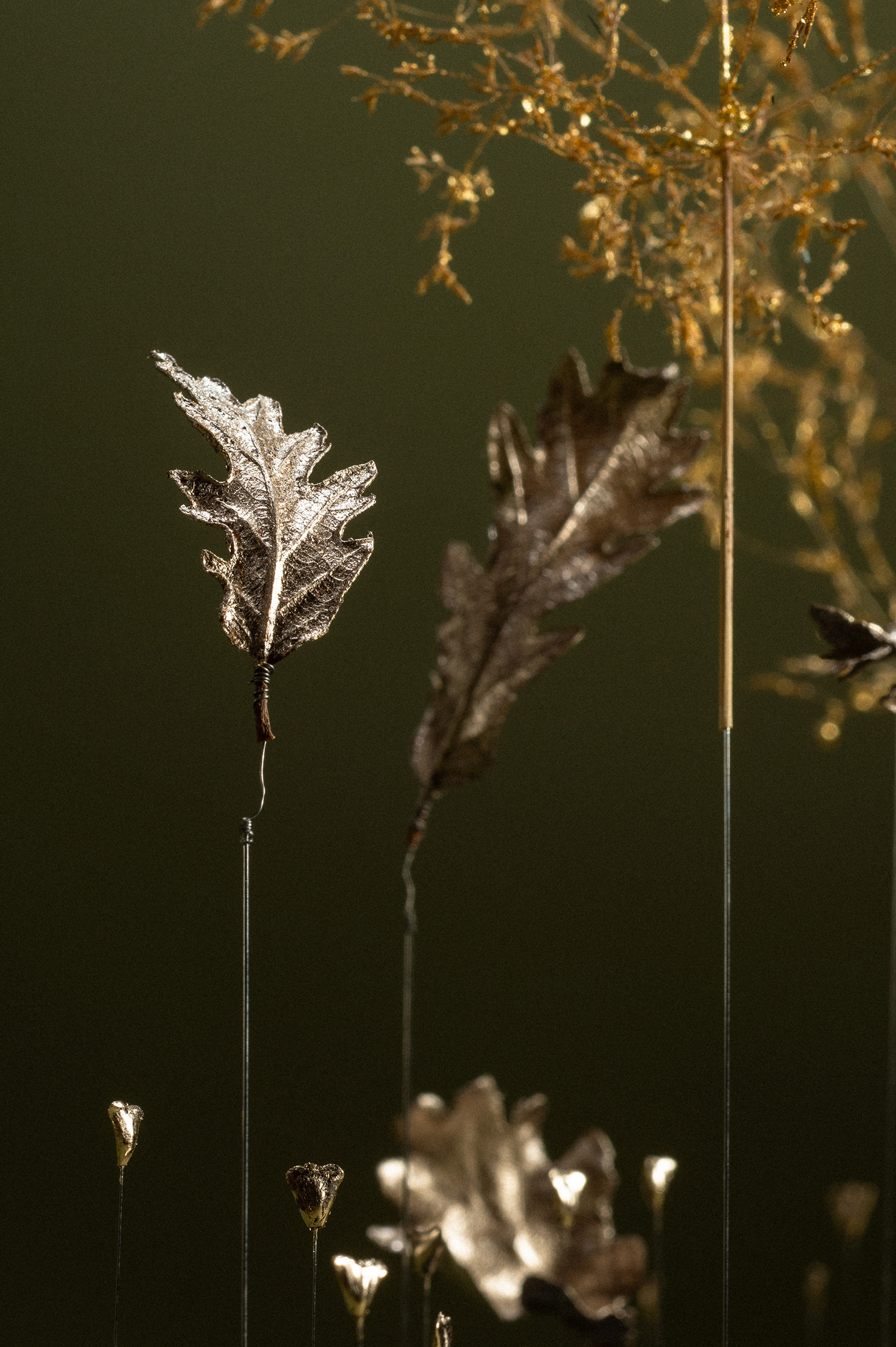 Sophie Blanc – 10/14