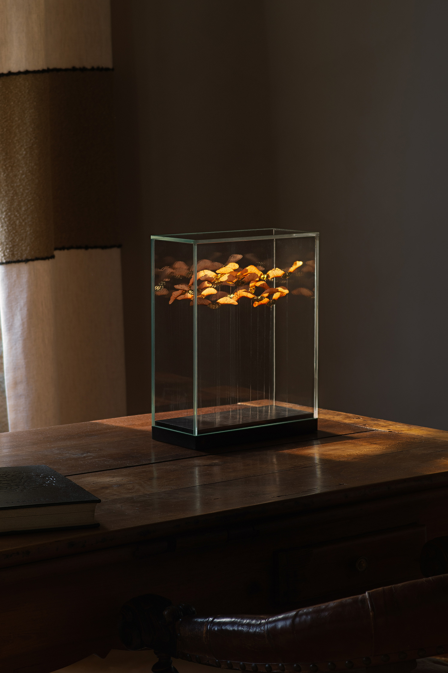 Sophie Blanc – 12/14