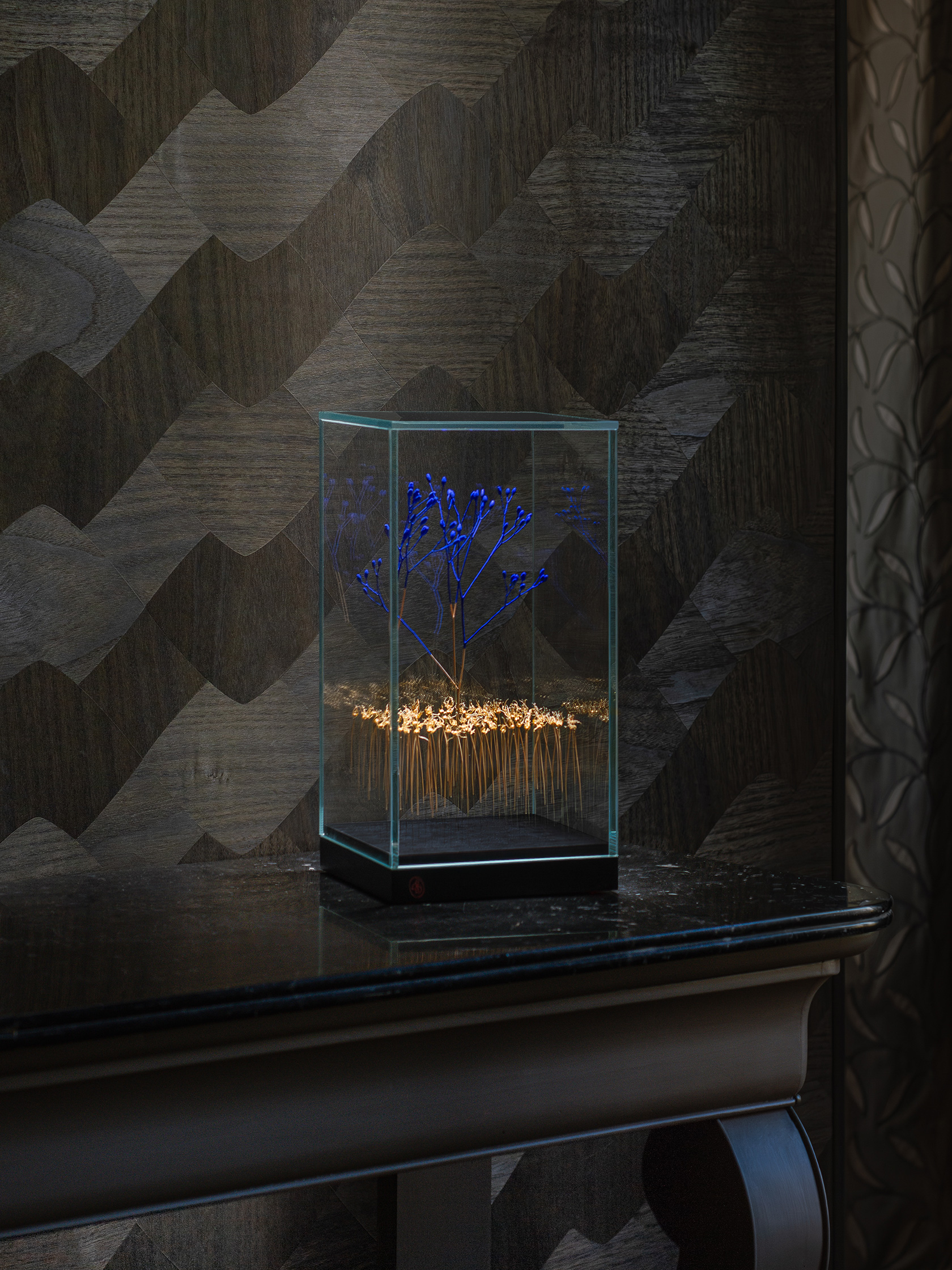 Sophie Blanc – 13/14