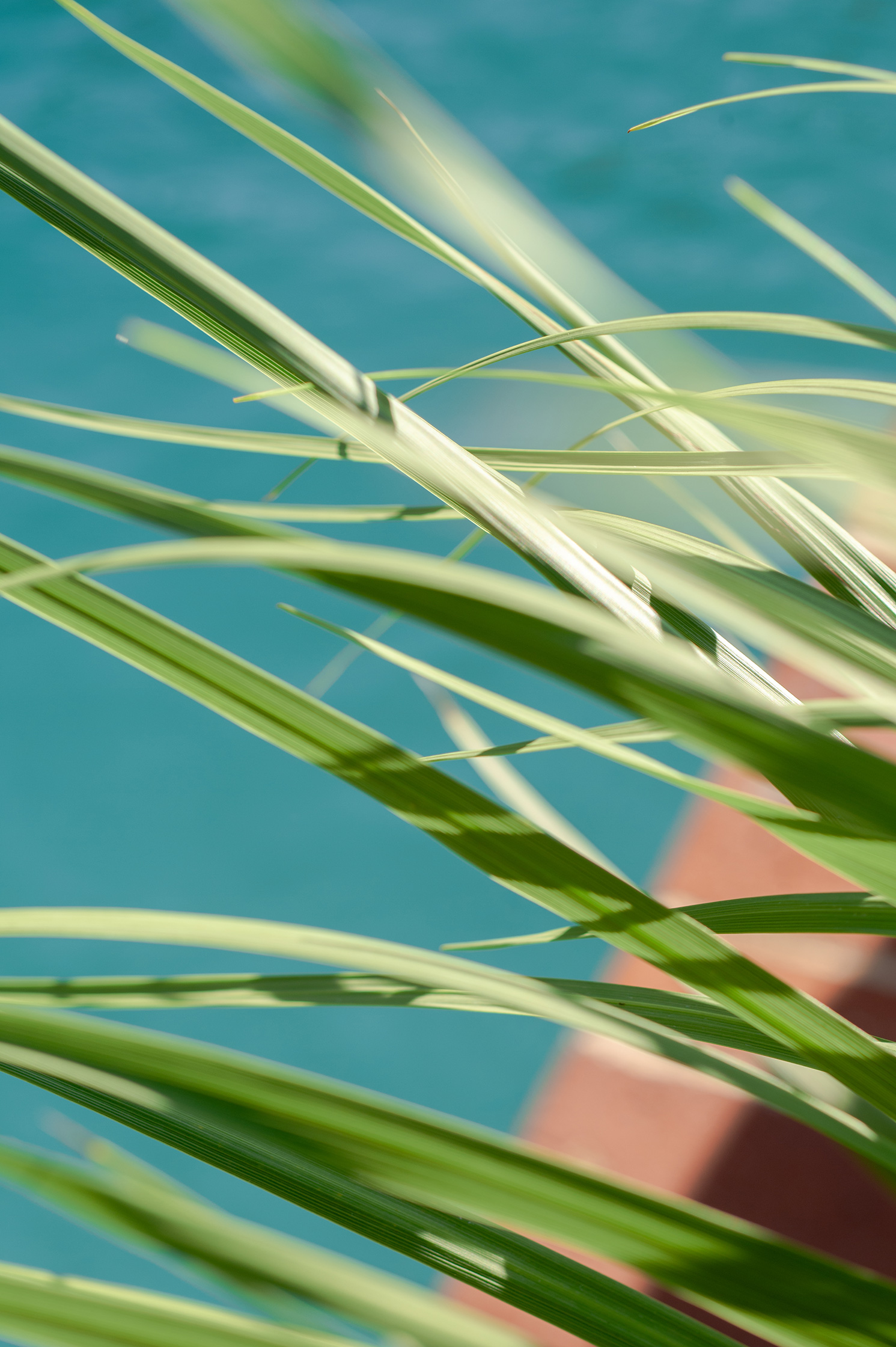 Maison Aïga – 11/12