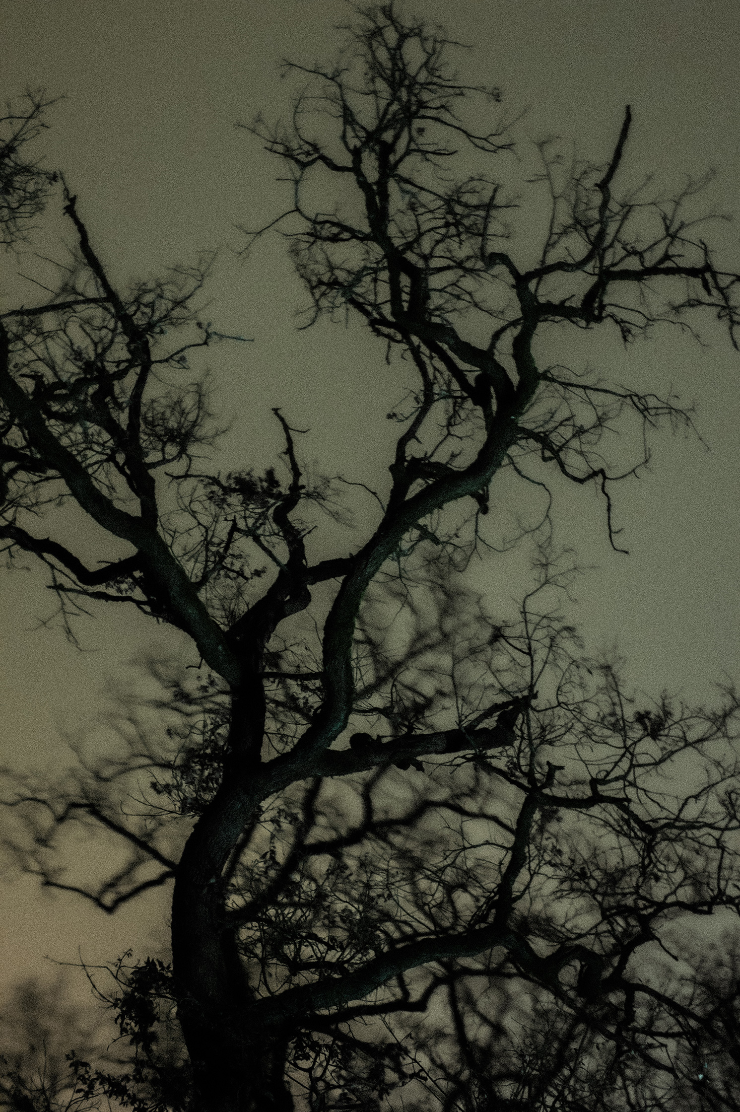 Mes Imaginaires – 3/10