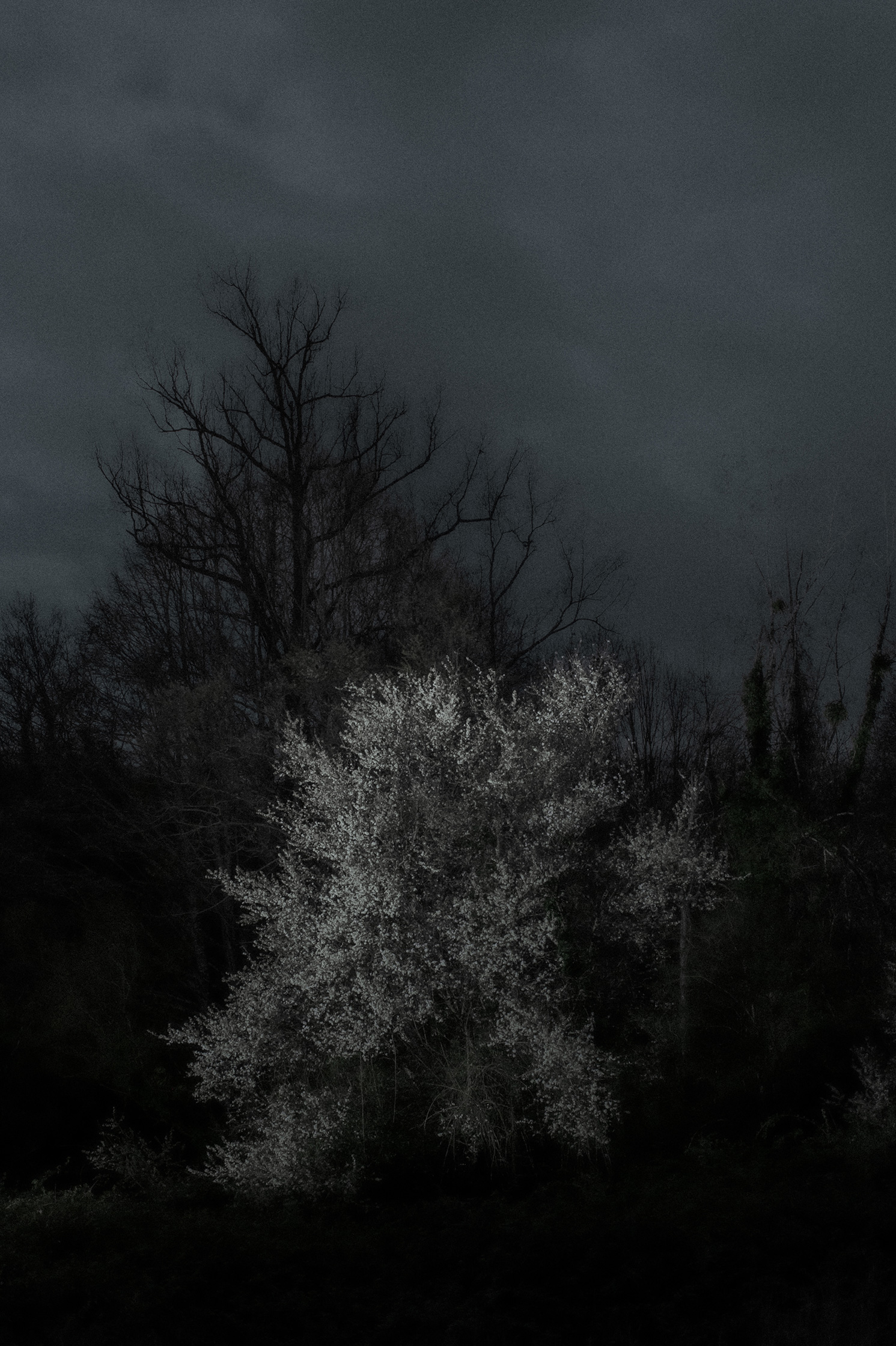 Mes Imaginaires – 4/10