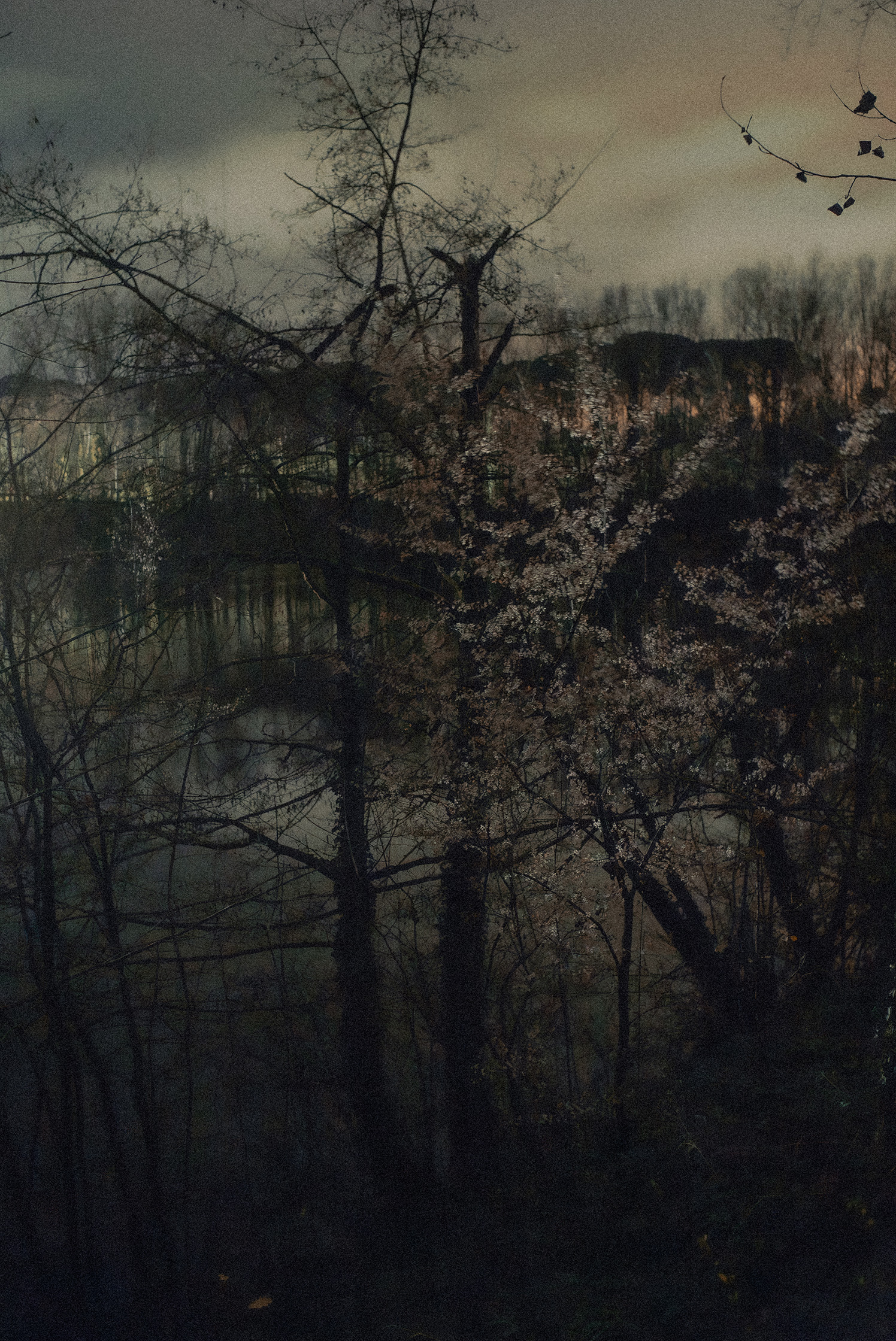 Mes Imaginaires – 6/10