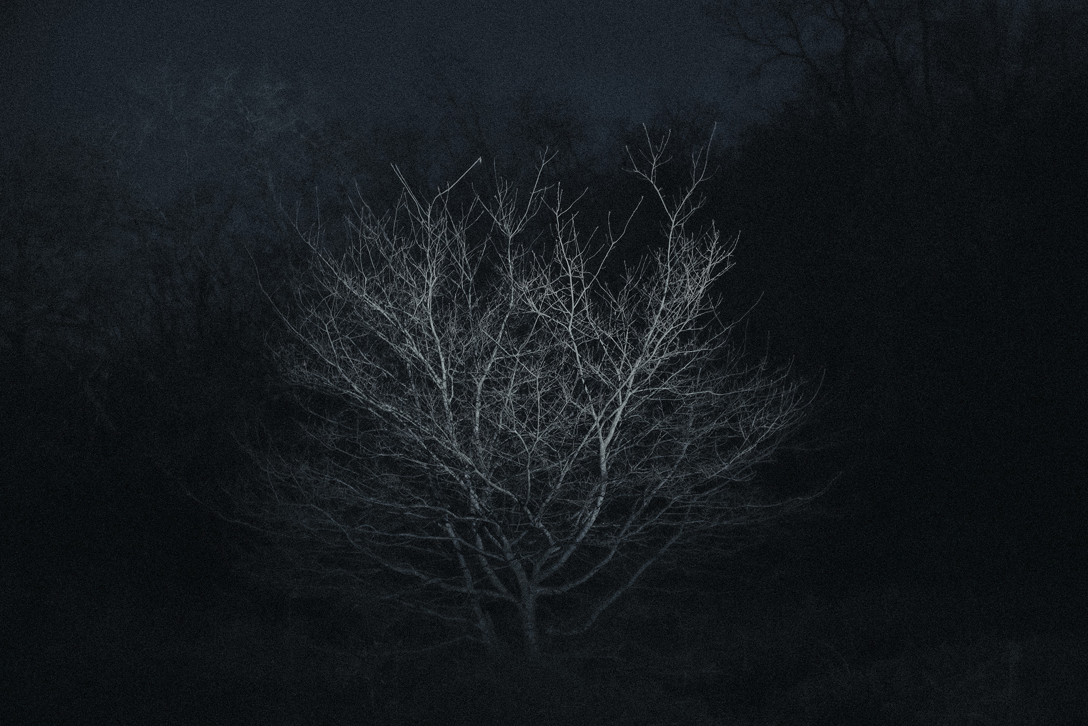 Mes Imaginaires – 7/10