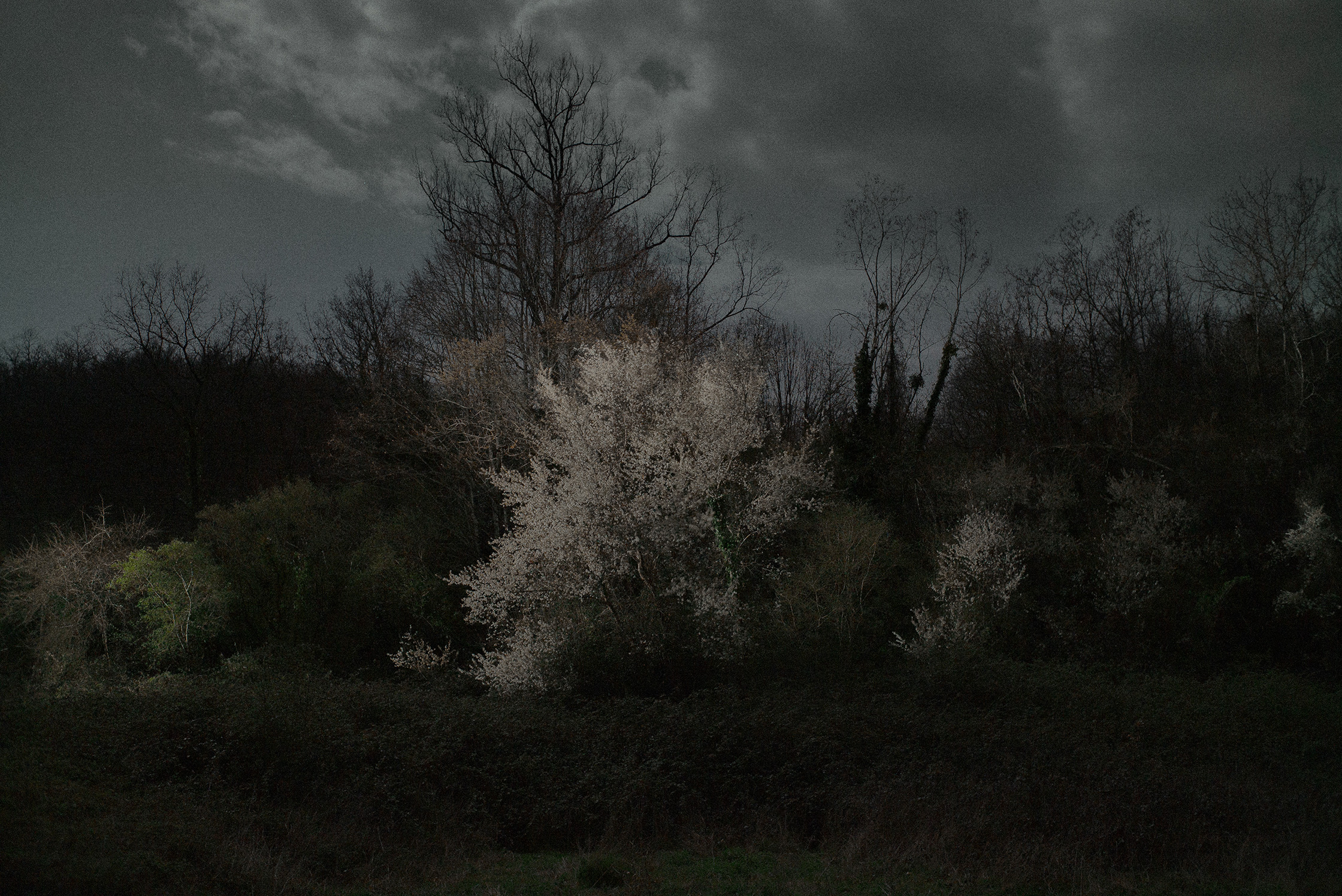 Mes Imaginaires – 8/10