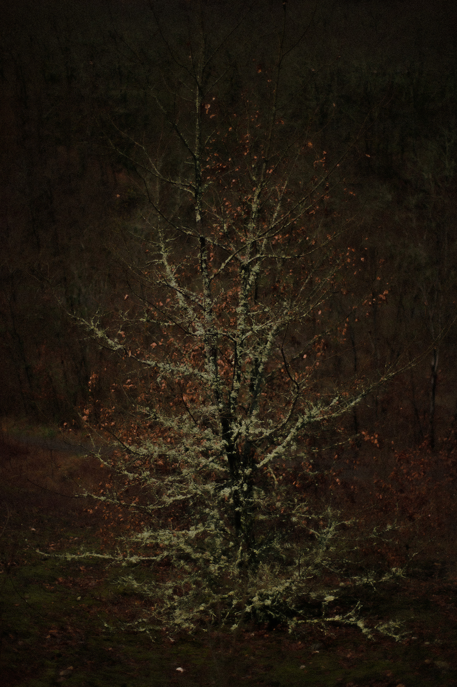 Mes Imaginaires – 9/10