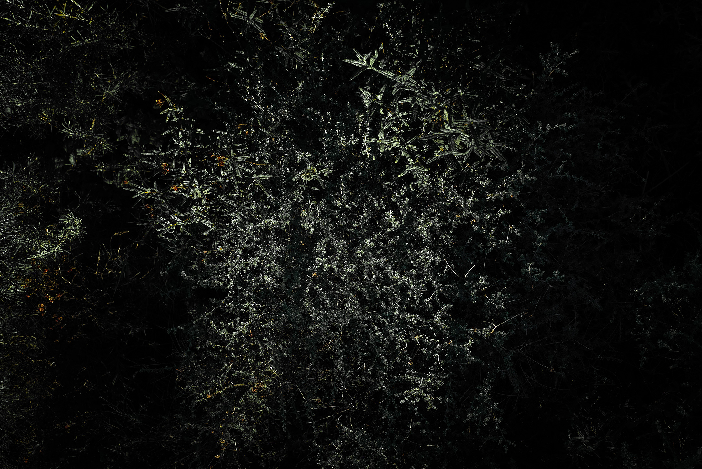 Premières matières