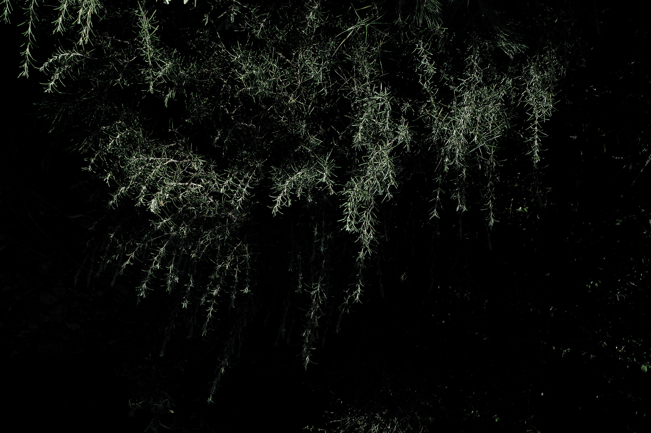 Premières matières – 2/8