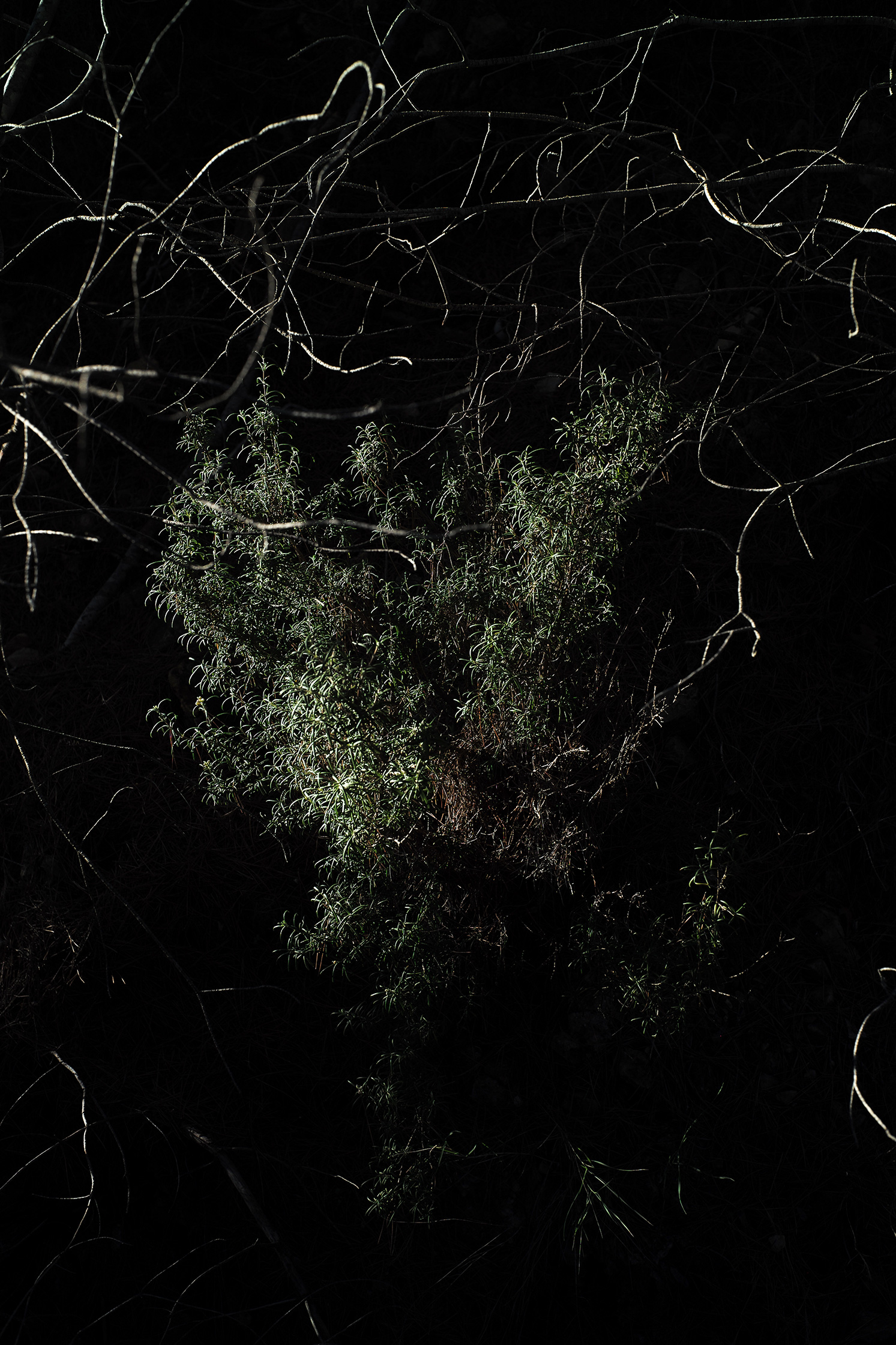 Premières matières – 3/8