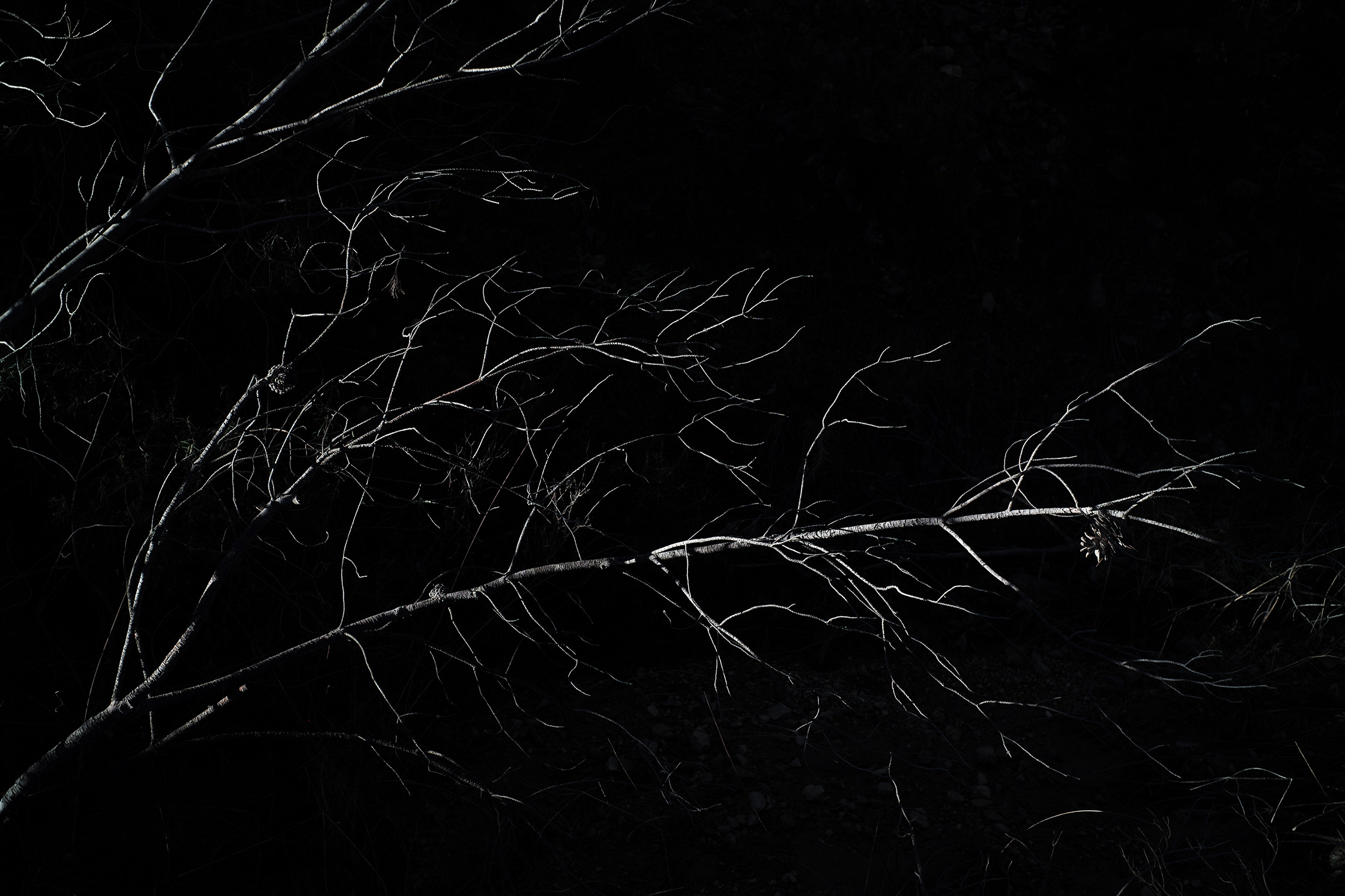 Premières matières – 4/8