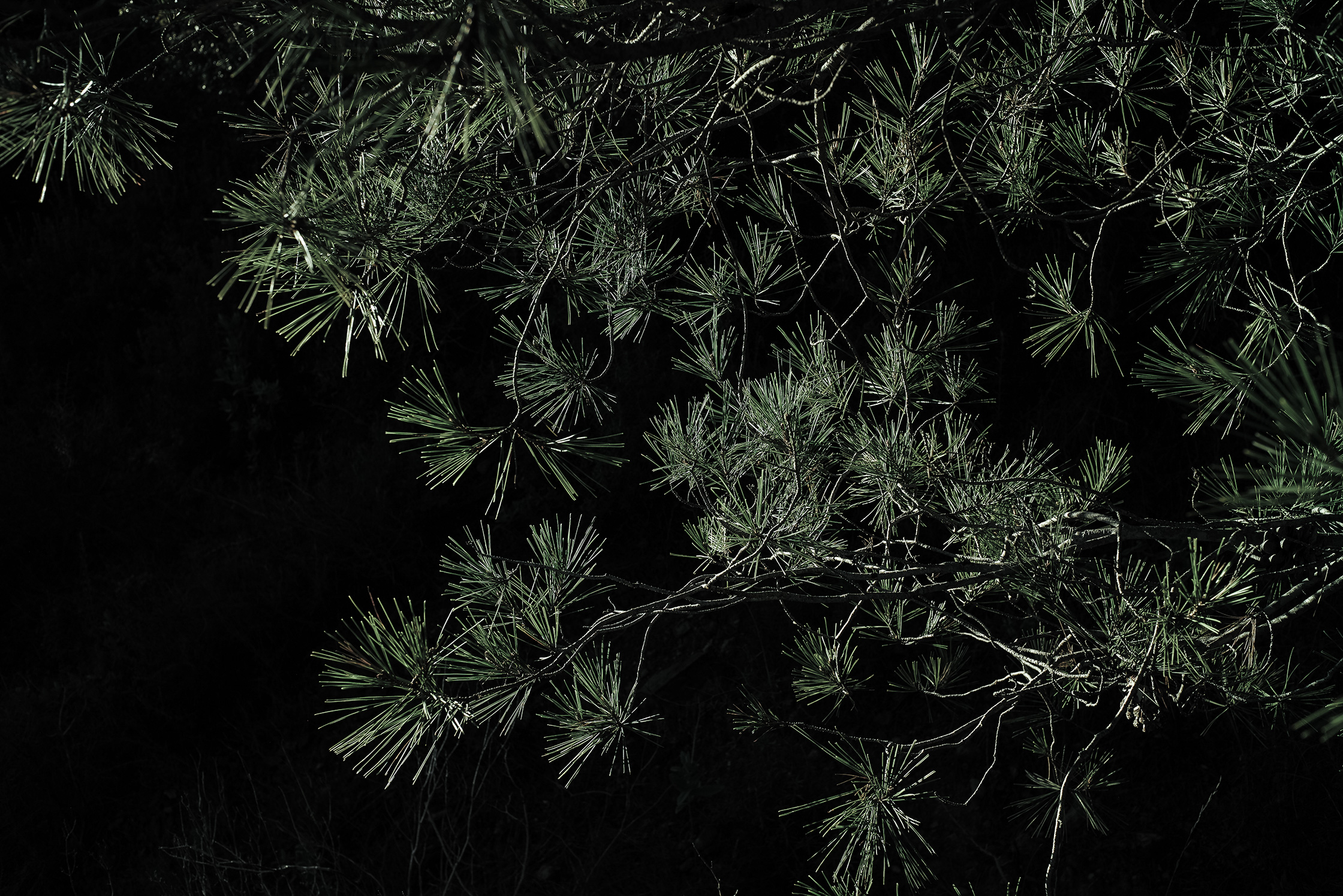 Premières matières – 5/8