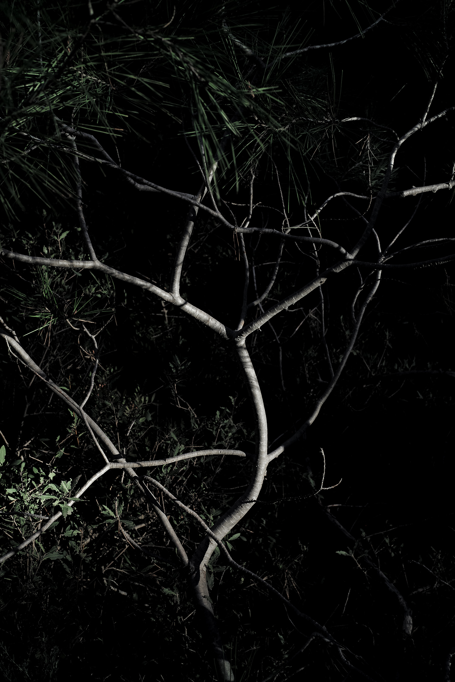 Premières matières – 6/8