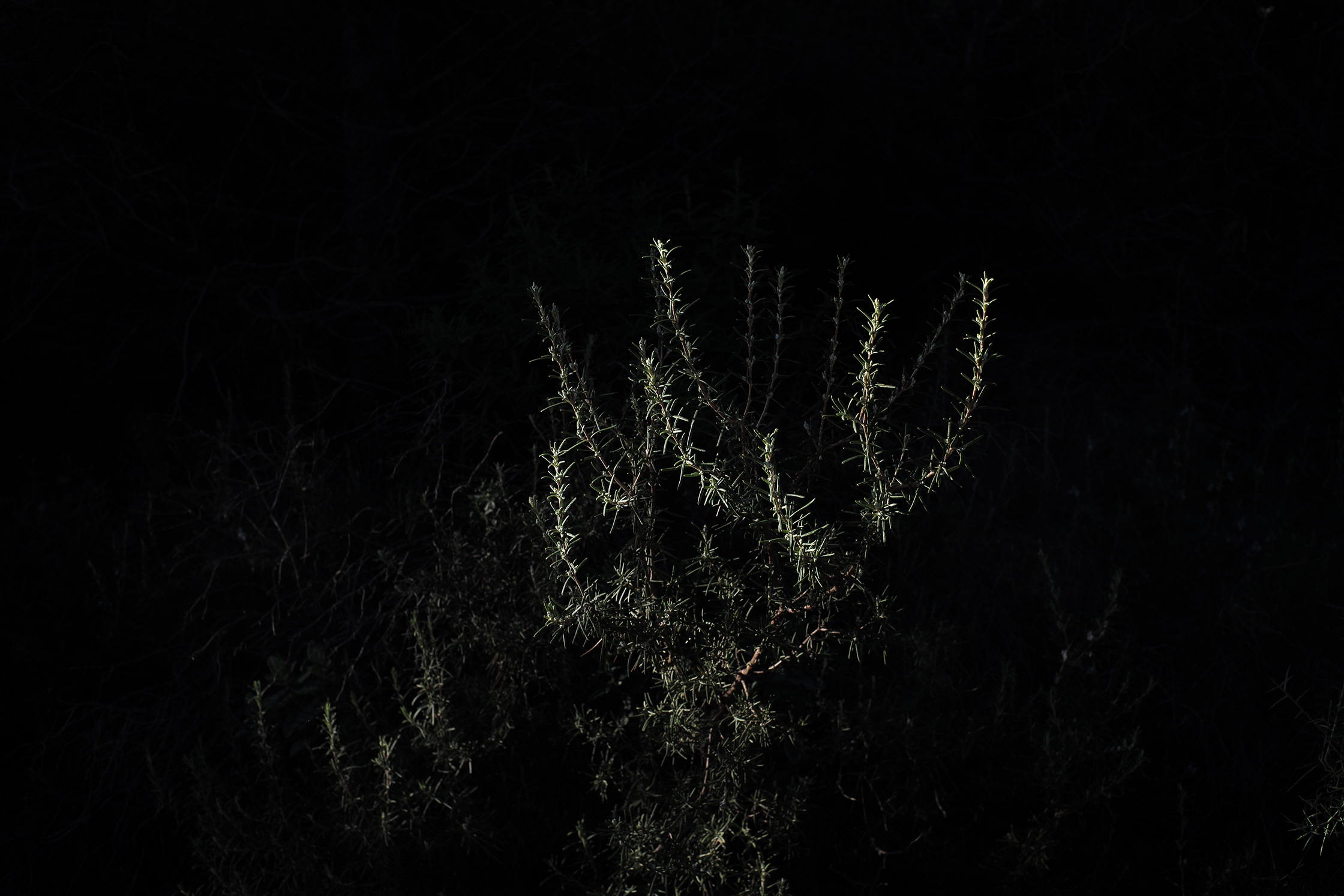 Premières matières – 7/8