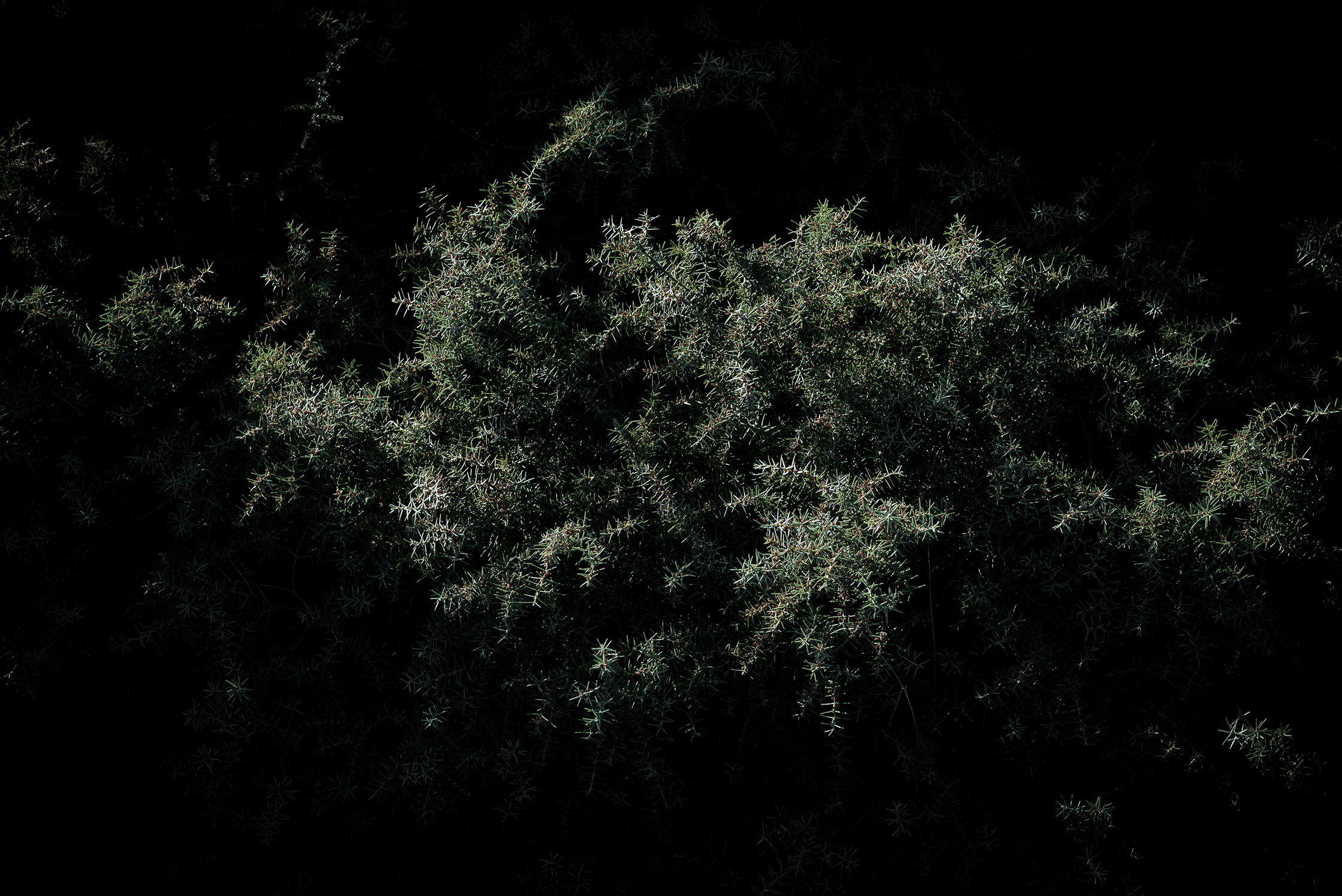 Premières matières – 8/8